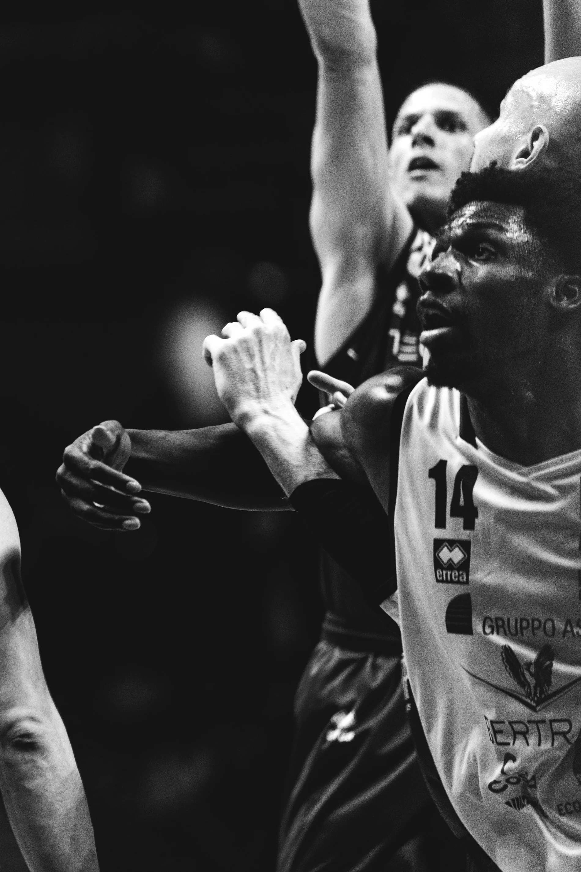 Basket 7