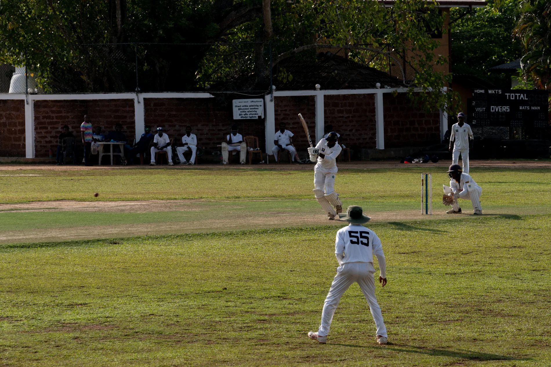 Cricket 1