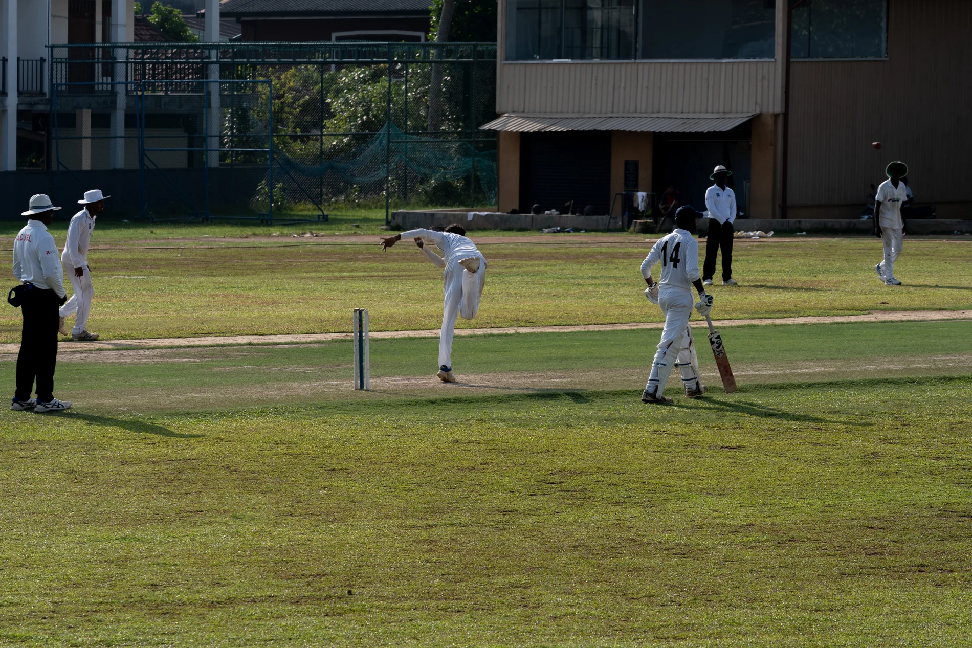 cricket 2