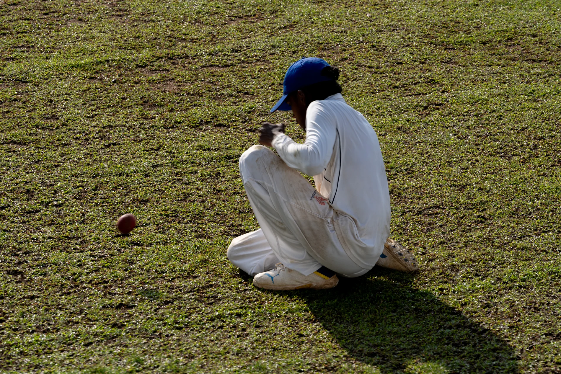 cricket 3