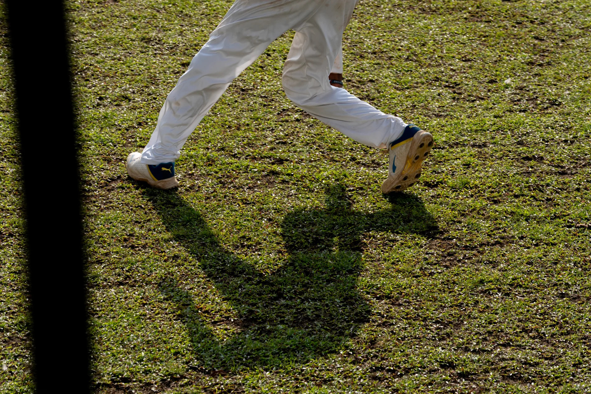 cricket 5
