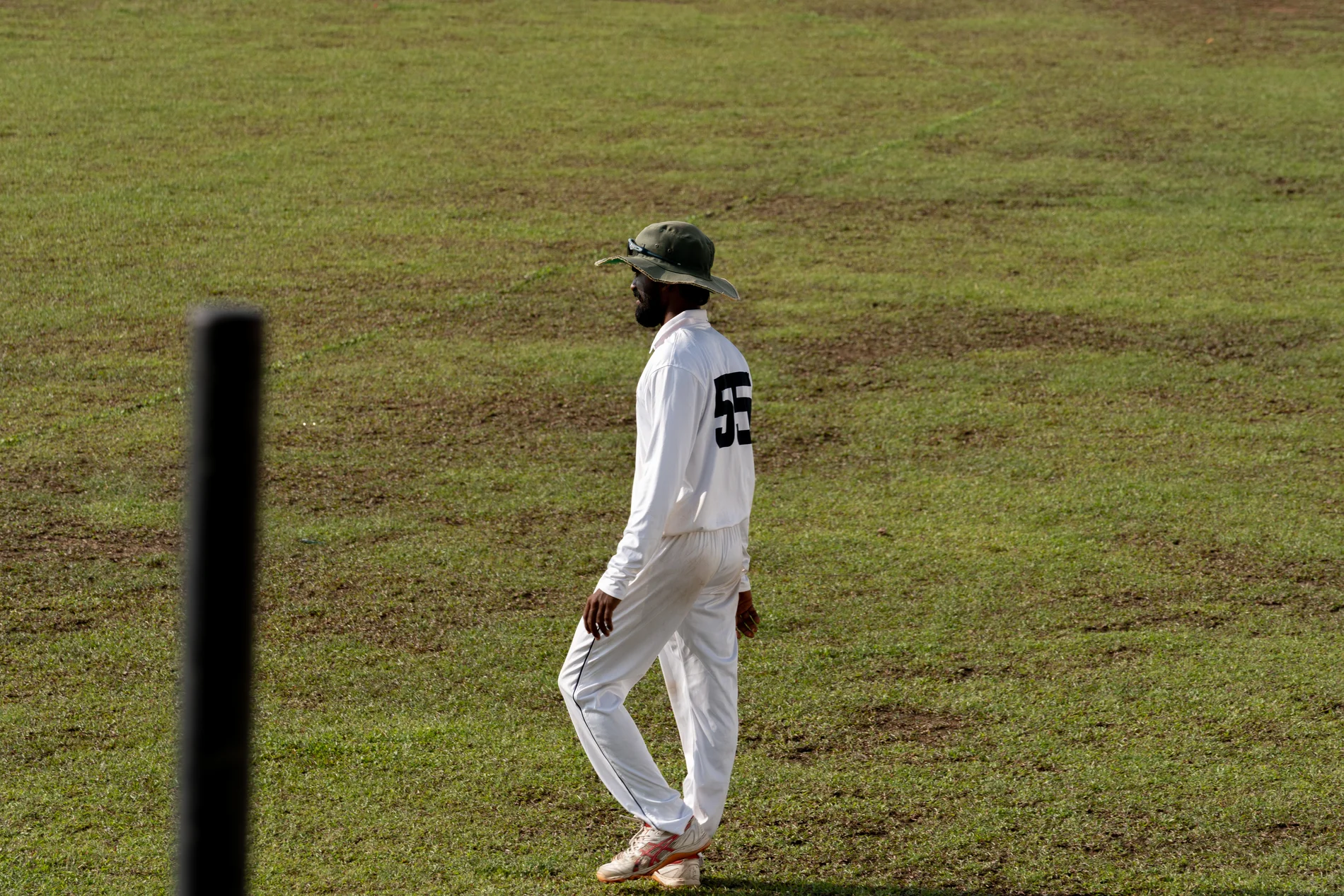 cricket 6