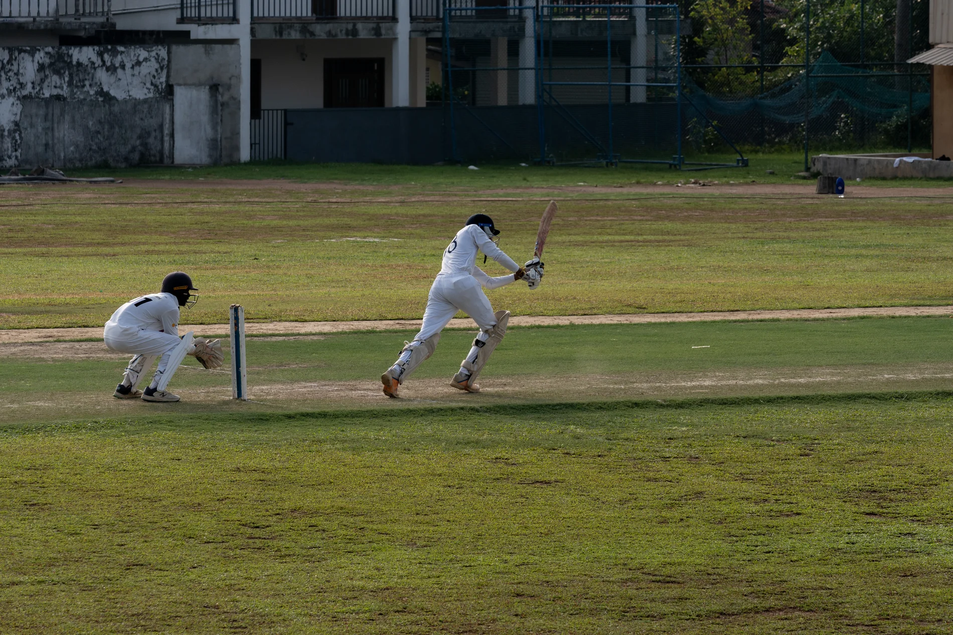 cricket 7