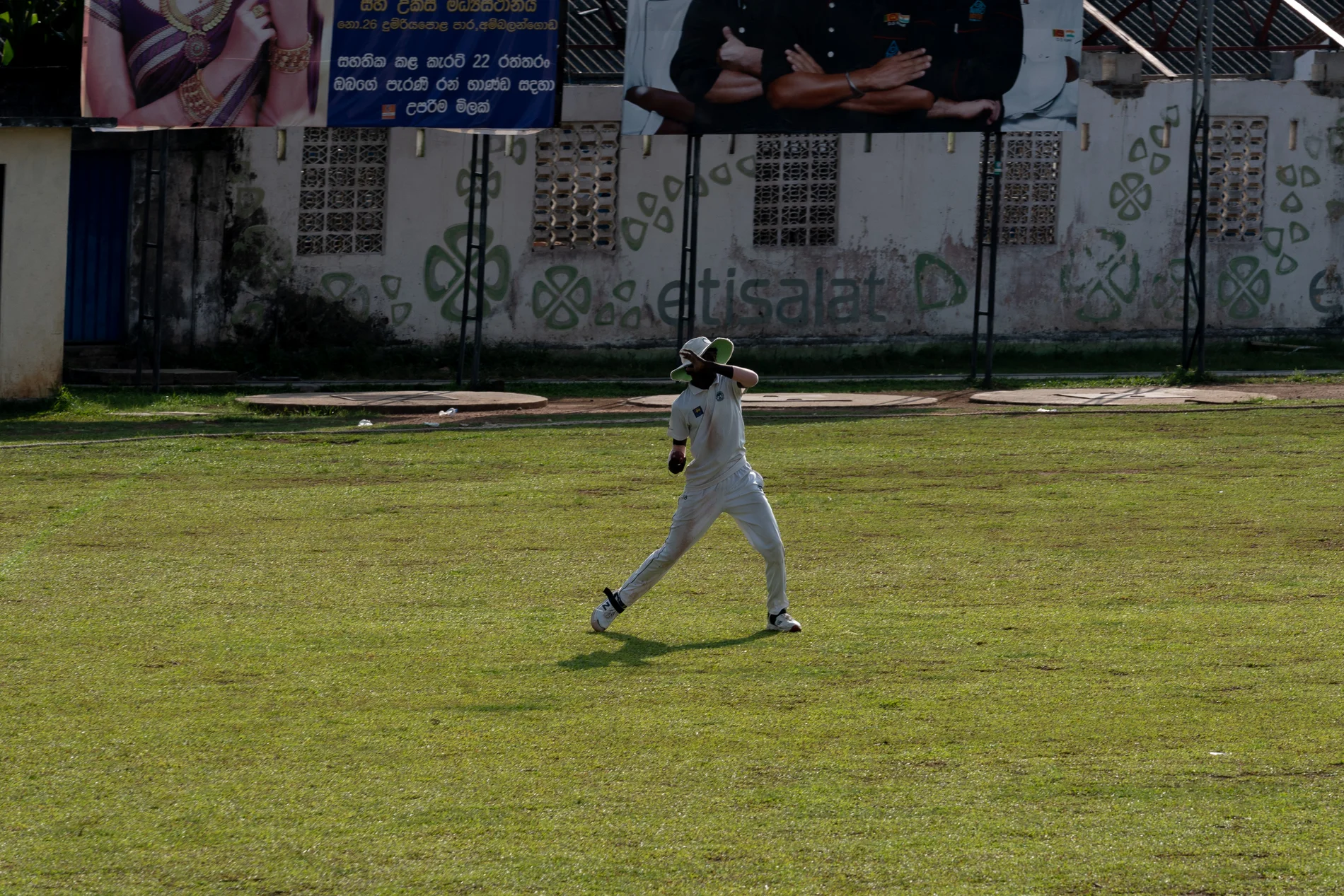 cricket 8