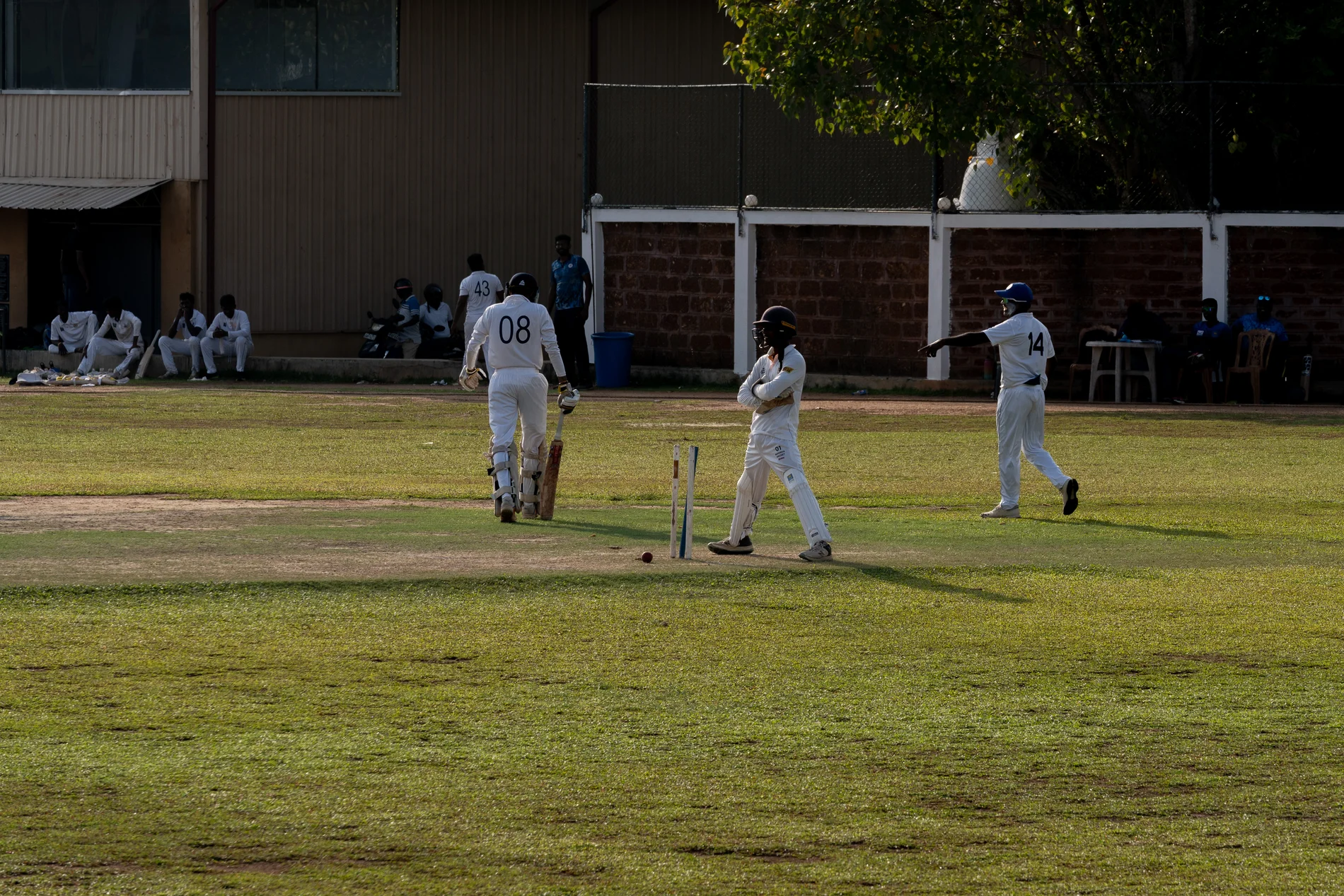 cricket 10