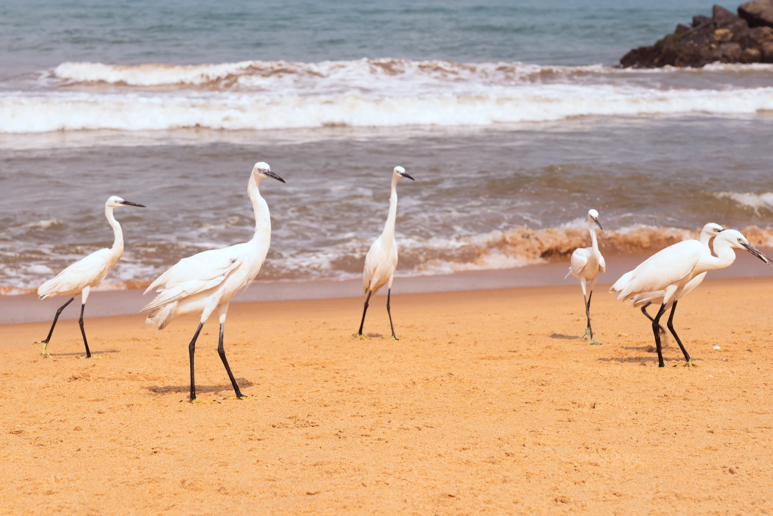 sri-lanka 1