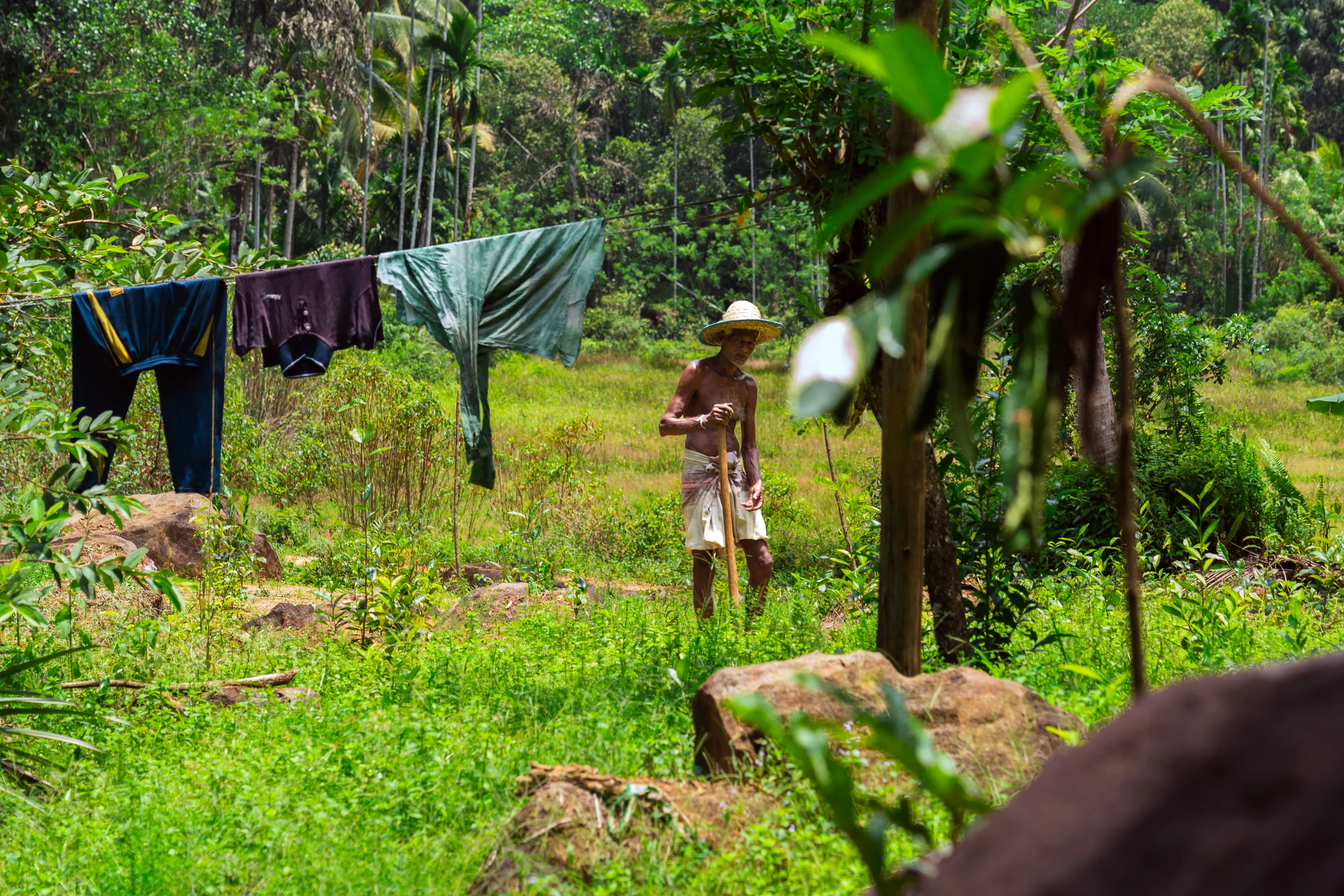 sri-lanka 12